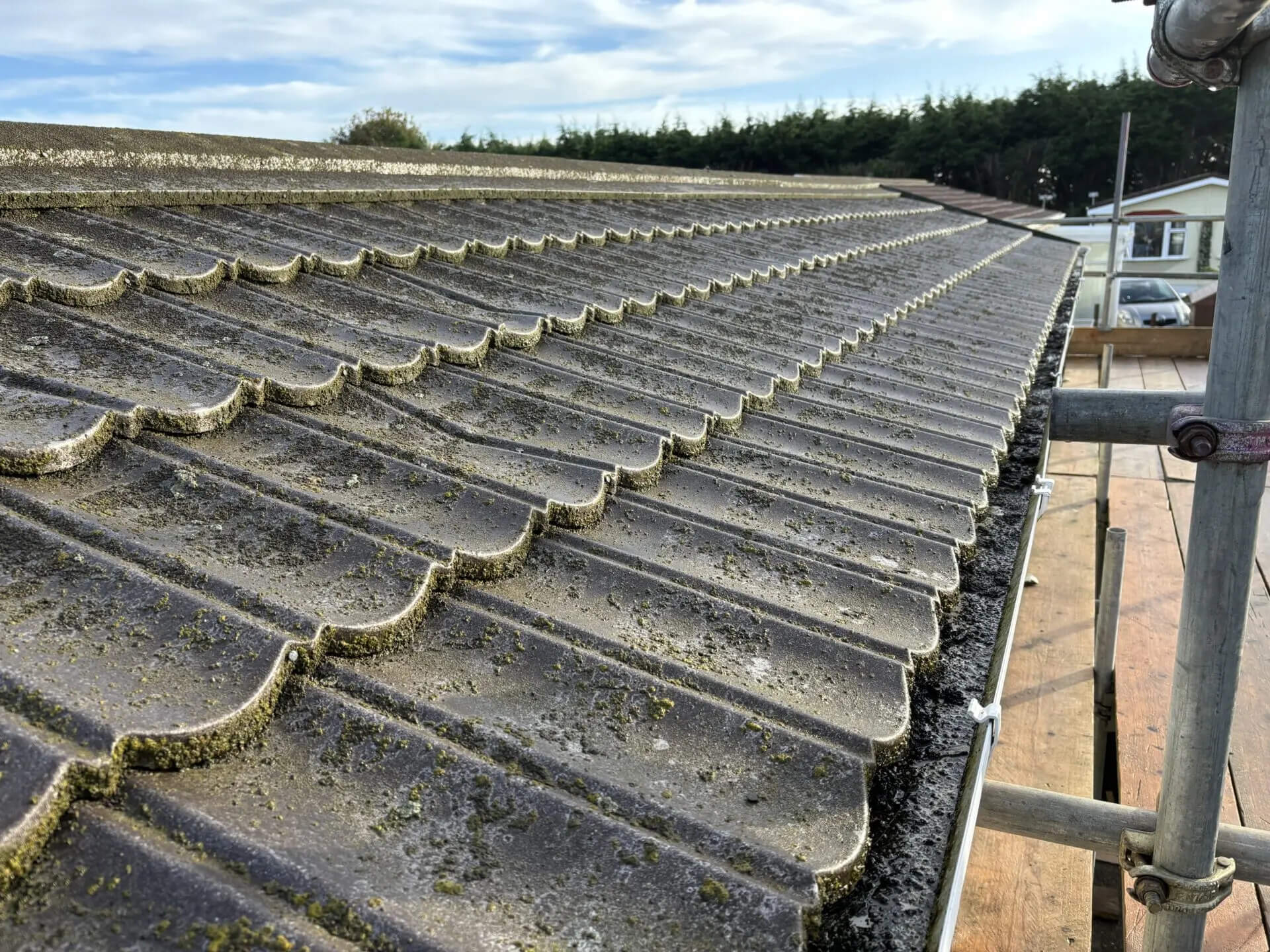 Roofing shingles.